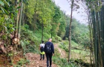 Northern Vietnam Odyssey: Sapa Treks & Halong Bay Cruise